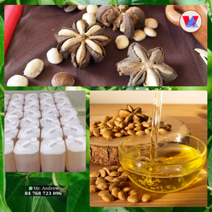 Aceite de Sacha Inchi Sin Refinar, Aceite de Semilla de Plukenetia Volubilis para Uso Culinario y Aderezos para Ensaladas, Grado Alimenticio, en Tambor de 20L, MÁS VENDIDO - Product Image 6