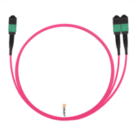 Cable de Conexión MTP-8 (Hembra APC) a 2x MTP-4 (Hembra APC) OM4 Multimodo Elite, 8 Fibras, Plenum (OFNP), Magenta