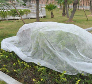 Tissu non tissé en polypropylène pour la protection des fruits et la couverture des sols agricoles et de jardin. - Product Image 3