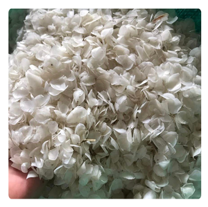 เครื่องชั่งน้ำหนักปลาแบบแห้งทำจากผงทำจากโพลีเมอร์ผสมคอลลาเจนและเจลาตินสำหรับใช้เป็นผลิตภัณฑ์ทางการเกษตรจากเวียดนาม - Product Image 3