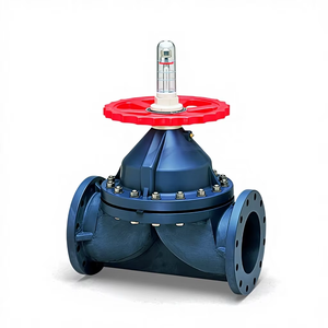 Vanne à diaphragme manuelle japonaise Asahi AV, type 72, modèle Type72-025, standard, taille de port 200 mm/250 mm - Product Image 1