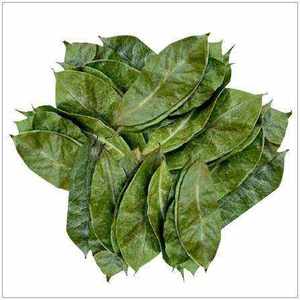 Dried Soursop Leaves Fermented Broken <b>Tea</b> Brew Hot Water Organic Health <b>Tea</b> Non Sugar 50gr <b>Box</b> Packaging EXPAD CO Grade a - Product Image 5