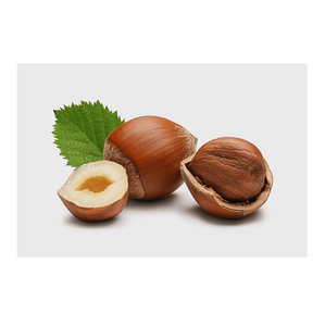 เฮเซลนัทออร์แกนิกอบแห้ง มีสินค้าจำนวนมาก ราคาขายส่ง - Product Image 2