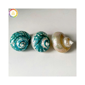 Coquilles de Turbo en gros, grandes, en nacre, pour incrustation et artisanat de luxe, usine du Vietnam - Product Image 1