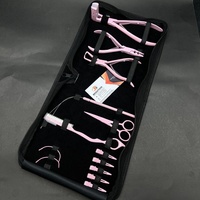 Meilleure vente en acier inoxydable pince professionnelle d'extension de cheveux trousse à outils ensemble pince à ruban dans la presse avec tampons en silicone Logo personnalisé