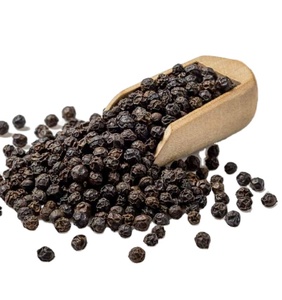 Pimienta Negra de Vietnam 500GL en Oferta, Pimienta Entera Seca Limpiada a Máquina, Suministro de Fábrica, Exportación a Granel, Venta al Por Mayor - Product Image 1