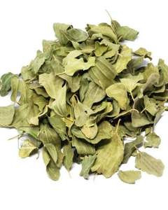 คอลเลคชั่นใหม่ สมุนไพรอินเดียแท้ 100% ผงใบซิดร์ (ซิซิฟัส) แห้งธรรมชาติ สำหรับใช้เพื่อสุขภาพ 25 กก. ราคาประหยัด เฮอร์โบจิต - Product Image 3