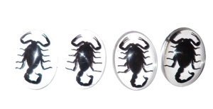 Scorpion noir, spécimen réel, cabochon en plastique ovale 30x40 mm, fond plat transparent pour l'artisanat et la fabrication de bijoux - Product Image 4