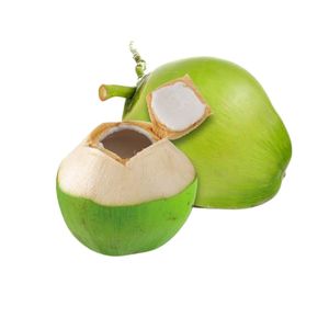 น้ำมะพร้าวพรีเมียม คุณภาพสูง รสชาติเข้มข้น สดใหม่จากฟาร์มเวียดนาม - Product Image 6