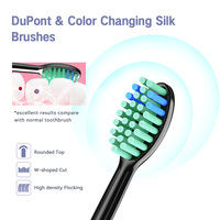 Brosse à dents électrique sonique D12, plusieurs modes de nettoyage, minuterie intelligente rechargeable, élimination efficace de la plaque dentaire, soin blanchissant des dents