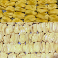 Biologische Gefreeze-droogde Gehele Jackfruit Snacks 100% Natuurlijk Rijp Voedingsrijk HACCP Gecertificeerd Zip Bag Verpakking Nee