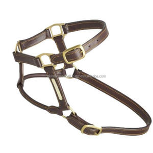 Marchandises de course équestre cheval classique marron en cuir de qualité supérieure licou avec raccords en laiton - Product Image 5