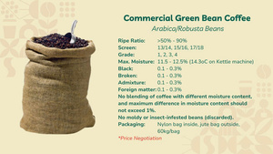 HANCOFFEE NOUVELLE RÉCOLTE Grains de café Robusta crus/verts - Prix de gros le plus bas - Conditionnés en sacs de 60 kg / sacs en PP / sacs en jute - Product Image 4
