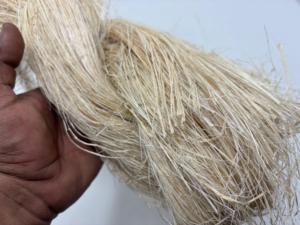 Fibre de banane naturelle de qualité supérieure, écologique, pour l'artisanat, les textiles, les produits écologiques, fabricant OEM en gros en Inde - Product Image 4