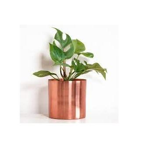 Macetas Decorativas de Jardín Comerciales de Aluminio de Gran Tamaño, Hechas a Mano, para Interiores y Exteriores - Product Image 5