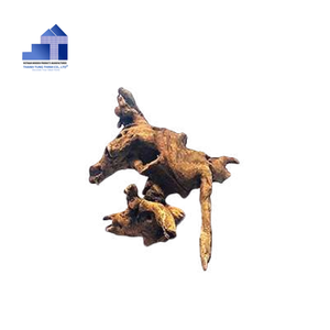 Eco-Friendly Bogwood Driftwood Sticks for Aquarium Accessories Coral Tank and Pet Store Wholesale 2026 - Product Image 3
