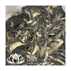 ¡OFERTA ESPECIAL! Extracto de fragancia de operculum de Murex puro y sostenible, material para incienso, precio al por mayor, Vietnam - Product Image 1