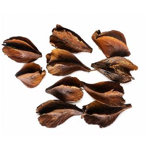 AQUA VRIKSHA Cápsulas Naturales de Arjuna para Acuarios, Peceras de Betta, Peceras de Camarones y Acuapaisajismo |   Paquete de 10 - Product Image 5