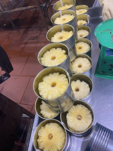 Competitive Price Top Selling International Standard Sweet Canned <b>Pineapple</b> Slices 30oz/Bulk - Product Image 6