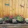 Metal Dragonfly <b>Wall</b> <b>Decor</b> 3-Pack Outdoor Garden Fence Art <b>Hanging</b> Decorations for Living Room Bedroom - Product Image 3