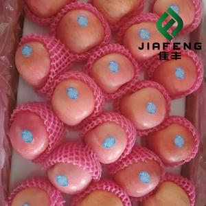 <span class=keywords><strong>Pommes</strong></span> rouges délicieuses et juteuses |   Parfait pour les aliments frais, les salades et la pâtisserie |   Orchard Direct - Product Image 5