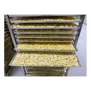 Durian Liofilizado, Snack de Fruta Saludable, Sin Azúcar Añadido, Suministro al por Mayor - Product Image 6