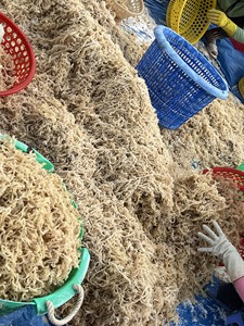 Bulk Supply Vietnam Cottonii Seaweed High Quality Dried Marine Material for Food <b>Stabilizer</b> Processing - Product Image 5