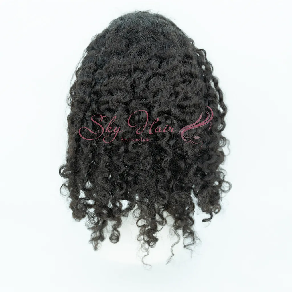 Высококачественный парик из 100% премиум-класса, камбоджийский волнистый, фронтальный парик, сделанный во Вьетнаме, оптом от компании Sky Hair
