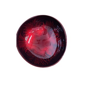 Apportez la nature à la maison avec notre bol en noix de coco laqué rouge, un plat artistique durable pour les collations, les bonbons et comme organisateur de bijoux. - Product Image 1