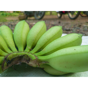Bananes Cavendish vertes de qualité export, récolte fraîche de première qualité pour le commerce international et la chaîne d'approvisionnement commerciale - Product Image 4