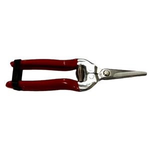 <b>JACK</b> WORTH Stainless Steel Long-Nose Fruit <b>Scissor</b> with Metal Handle for Garden Use - Product Image 4