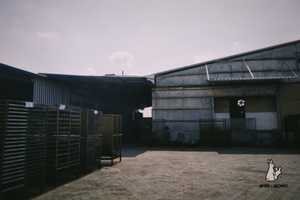 BRIQUETAS DE CARBÓN LISTO PARA PARRILLA ELABORADAS DE CÁSCARAS DE COCO ORGÁNICAS - Product Image 5