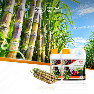 Engrais liquide bio GDM 1 litre pour les cultures en plantation - Product Image 2