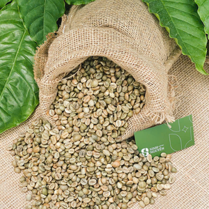 เมล็ดกาแฟโรบัสต้าพรีเมียม B2B OEM 95 คั่วไม่ได้ คุณภาพเยี่ยม ไม่มีตำหนิ สำหรับผู้ค้าส่งจากเวียดนาม - Product Image 4