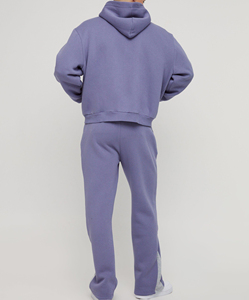 Men's Purple Hooded Sweatshirt <b>Set</b> Solid Color Casual Zip-Up Hoodie With Front Logo Print Cotton French Terry Autumn Wear - Product Image 2