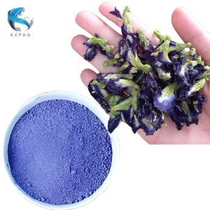 Poudre de fleur de pois papillon en gros, qualité supérieure, matcha bleu pour les cafés et les fabricants alimentaires, qualité biologique garantie - Product Image 3