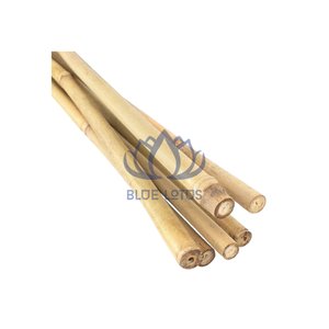 ¡OFERTA ESPECIAL! Poste de Bambú Ecológico, Seguro y Limpio, Producto Puro de Planta, Ideal para Construcción de Cercas y Soporte de Edificios, Precio Directo - Product Image 1