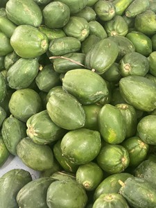 Papaya Seca de Calidad de Exportación a Precio Competitivo, Rodajas de Papaya Seca, Papaya Seca Suave, Ingrediente Alimentario, Proveedor de Vietnam - Product Image 4