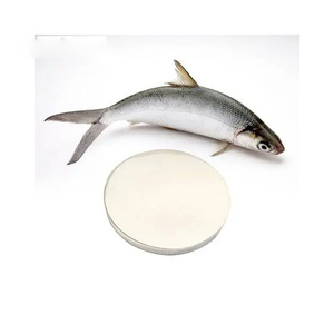 Péptidos de colágeno de pescado hidrolizado de disolución instantánea, suministro a granel, oferta de exportación al por mayor - Product Image 1