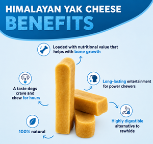 ขนมขบเคี้ยวสำหรับสุนัขนมจามรีหิมาลัย แบรนด์ส่วนตัว บำรุงสุขภาพฟันยาวนาน แคลเซียมสูง ปราศจากกลูเตน ปราศจากธัญพืช รับผลิตแบบ OEM - Product Image 5
