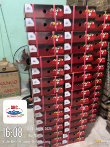 ผลไม้รัมปูตันสดจากเวียดนาม รสหวานธรรมชาติ ผลไม้เขตร้อนออร์แกนิก - Product Image 2