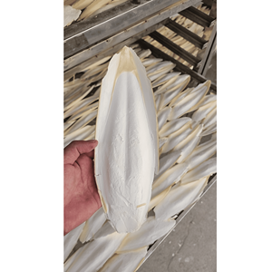 Hueso de Sepia Seco Natural, Suplemento Marino Alto en Calcio, Aditivo para Alimentos, Paquete a Granel, 99 Gold Data, Origen Vietnam, 24 Meses - Product Image 3