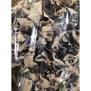 Cultivé vietnamien naturel séché bois oreille champignon sain végétalien nourriture et cuisson assaisonné bouchon traité - Product Image 2