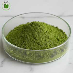 Selección Única AuE 2% MIT Polvo de Hoja Herbal Tailandesa 120 Mesh Secado al Aire Caliente Envasado al Vacío Grado Alimenticio Herbal - Product Image 1