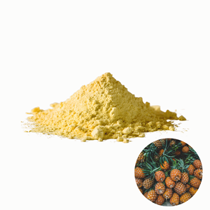 Poudre de peau d'ananas séchée de qualité supérieure, meilleur prix, fournisseur vietnamien, vente en gros - Product Image 1