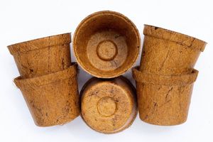 Pots à plantes en fibre de coco naturelle du Vietnam, pots à fleurs écologiques et biodégradables, fabricant en gros - Product Image 6