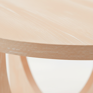 Mesa de Centro Moderna de Vietnam, Madera de Caucho Resistente, Chapa de MDF, Roble KD, Muebles para Sala de Estar, Diseño Decorativo PKP, 1 Año de Garantía - Product Image 5