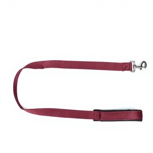 OEM <b>Pet</b> Accessories Nylon Dog <b>Leash</b> with Comfortable Foam Grip from Divine International - Product Image 1
