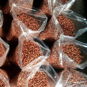 ถั่วลิสงพรีเมียมขายส่ง คุณภาพสูงสุด พร้อมจัดส่ง ส่งออกทั่วโลก - Product Image 1