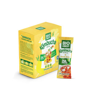 Boissons au kombucha gingembre-citron vert en marque blanche, emballages individuels portables pour boissons au thé - Product Image 1